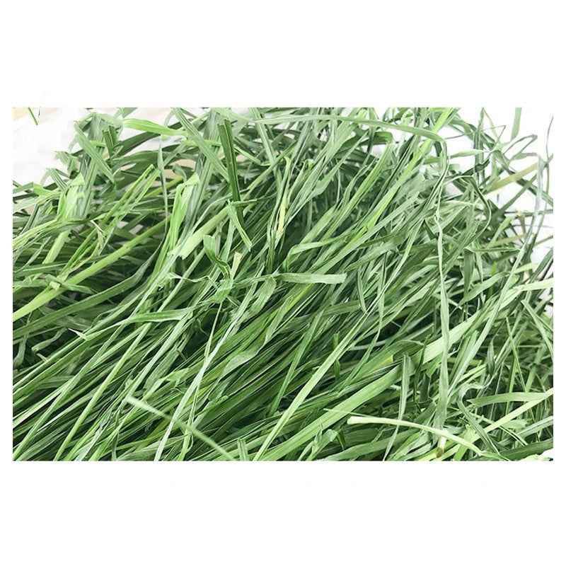 Dried Timothy FCL Hay Snacks Feed Chinchilla Guinea Pig Food Rabbits Pet Products - Needora