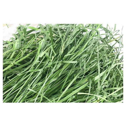 Dried Timothy FCL Hay Snacks Feed Chinchilla Guinea Pig Food Rabbits Pet Products - Needora