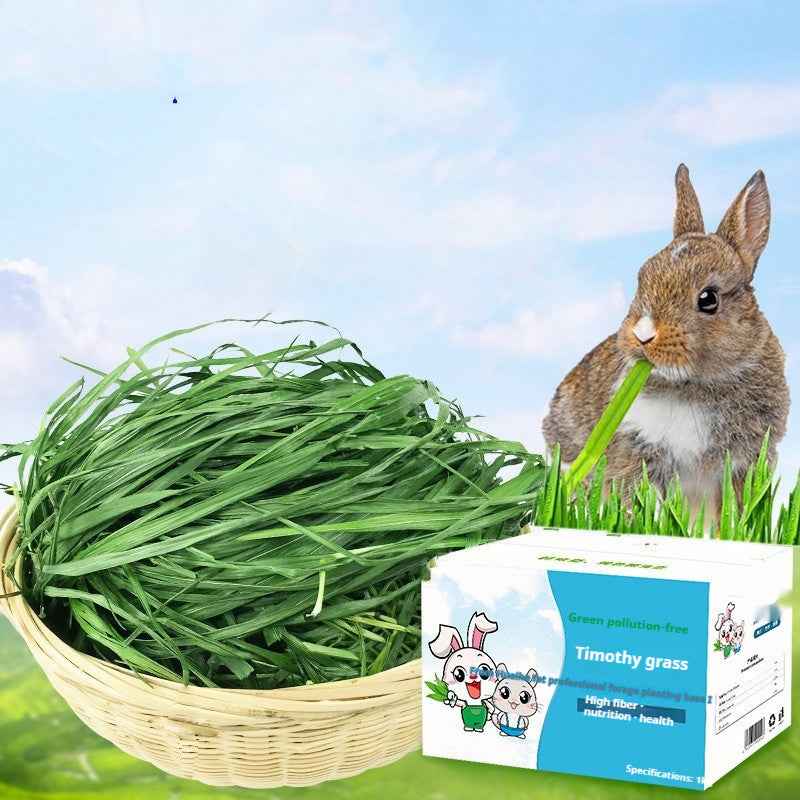 Dried Timothy FCL Hay Snacks Feed Chinchilla Guinea Pig Food Rabbits Pet Products - Needora