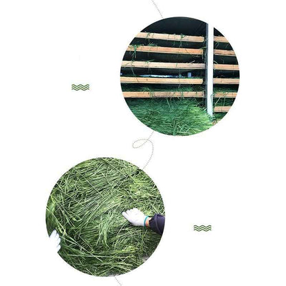 Dried Timothy FCL Hay Snacks Feed Chinchilla Guinea Pig Food Rabbits Pet Products - Needora