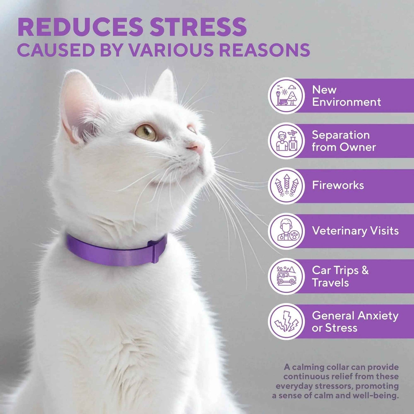 Cat Calming Collar & Pet Anti Anxiety Products   Feline Calm Pheromones Collars & Cats Stress Relief   Comfort Helps with Pee New Zone Aggression Fighting with Dogs & Other Behavior