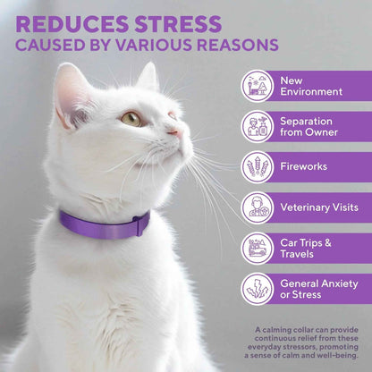 Cat Calming Collar & Pet Anti Anxiety Products   Feline Calm Pheromones Collars & Cats Stress Relief   Comfort Helps with Pee New Zone Aggression Fighting with Dogs & Other Behavior