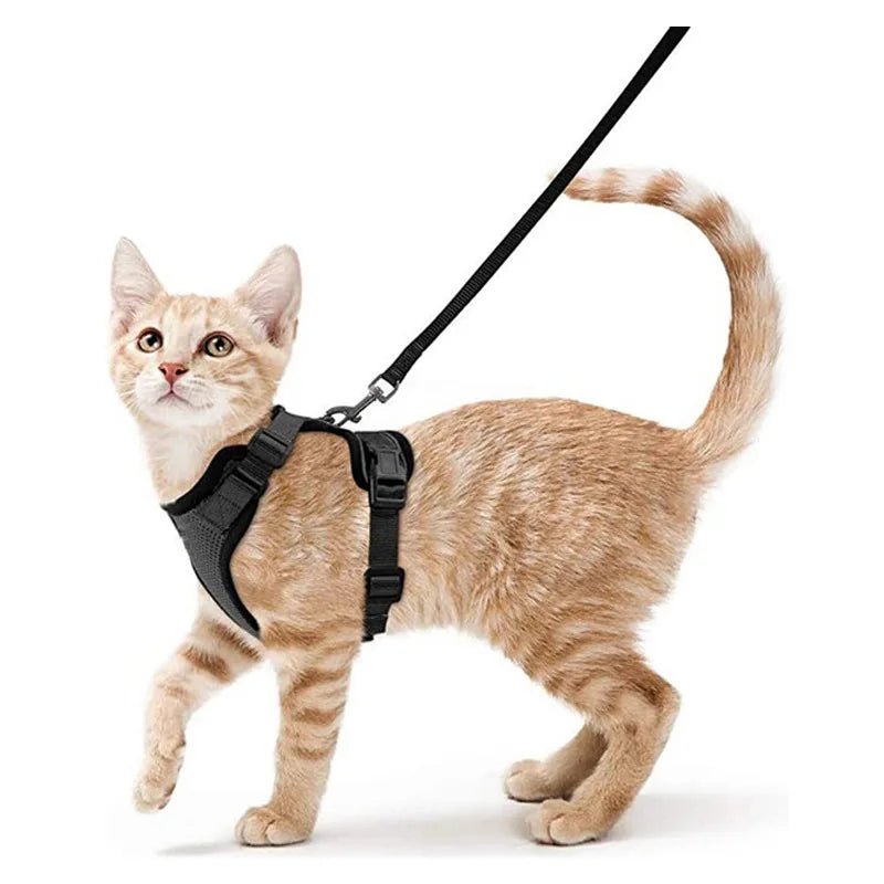 Easy Control Escape Proof Cat Harness and Leash - Soft Adjustable Vest Harnesses for Walking Cats MXQQY01 - Needora