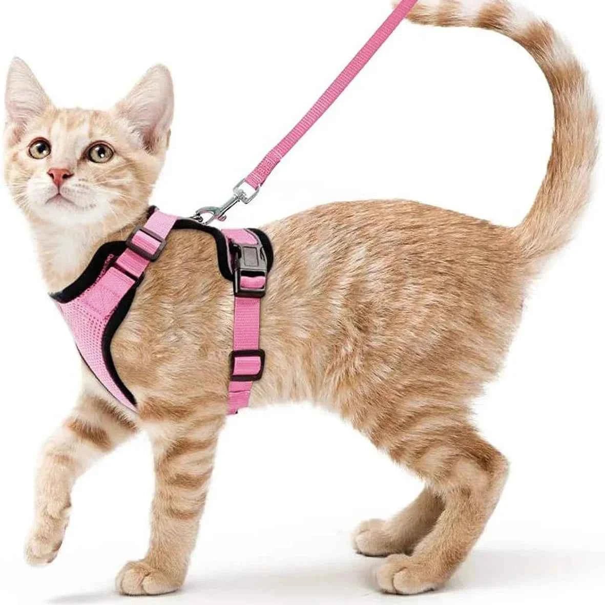 Easy Control Escape Proof Cat Harness and Leash - Soft Adjustable Vest Harnesses for Walking Cats MXQQY01 - Needora