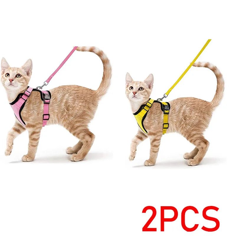 Easy Control Escape Proof Cat Harness and Leash - Soft Adjustable Vest Harnesses for Walking Cats MXQQY01 - Needora