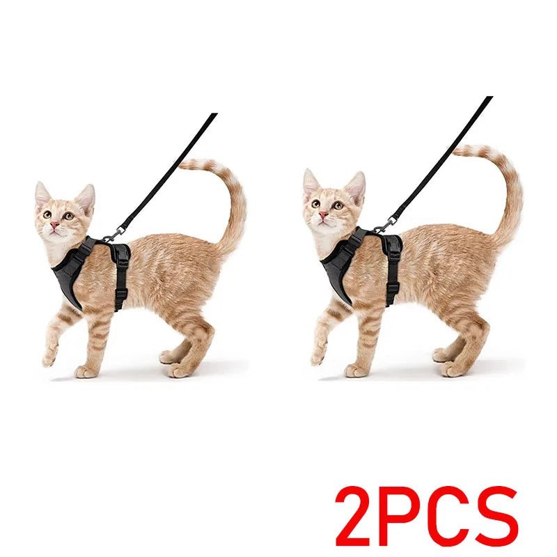 Easy Control Escape Proof Cat Harness and Leash - Soft Adjustable Vest Harnesses for Walking Cats MXQQY01 - Needora