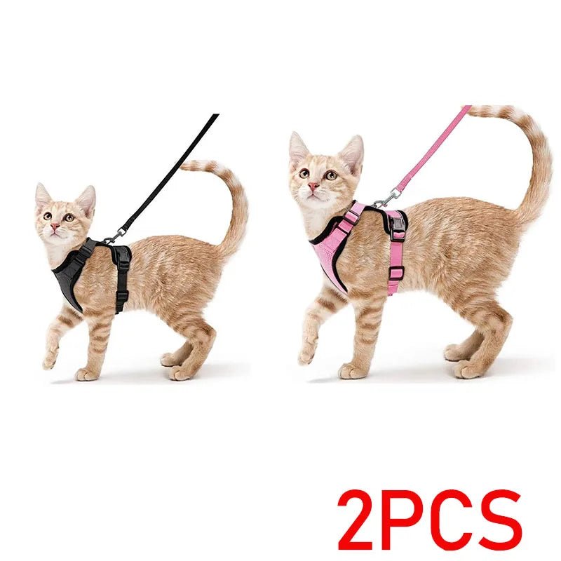 Easy Control Escape Proof Cat Harness and Leash - Soft Adjustable Vest Harnesses for Walking Cats MXQQY01 - Needora