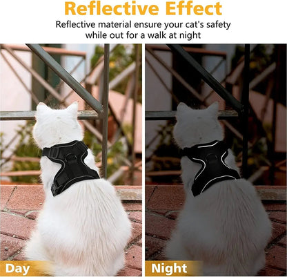 Easy Control Escape Proof Cat Harness and Leash - Soft Adjustable Vest Harnesses for Walking Cats MXQQY01 - Needora