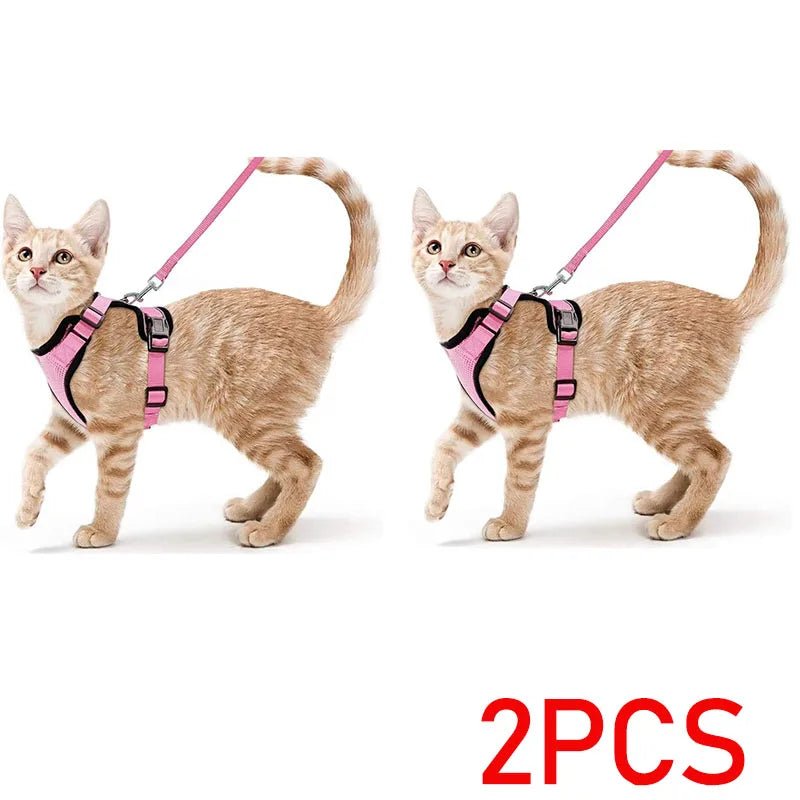 Easy Control Escape Proof Cat Harness and Leash - Soft Adjustable Vest Harnesses for Walking Cats MXQQY01 - Needora