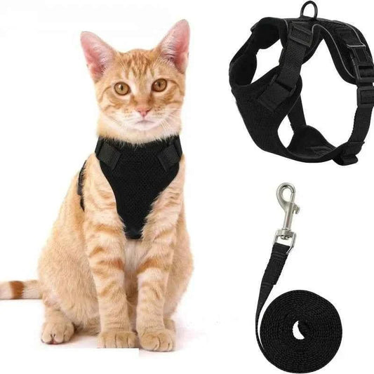 Easy Control Escape Proof Cat Harness and Leash - Soft Adjustable Vest Harnesses for Walking Cats MXQQY01 - Needora