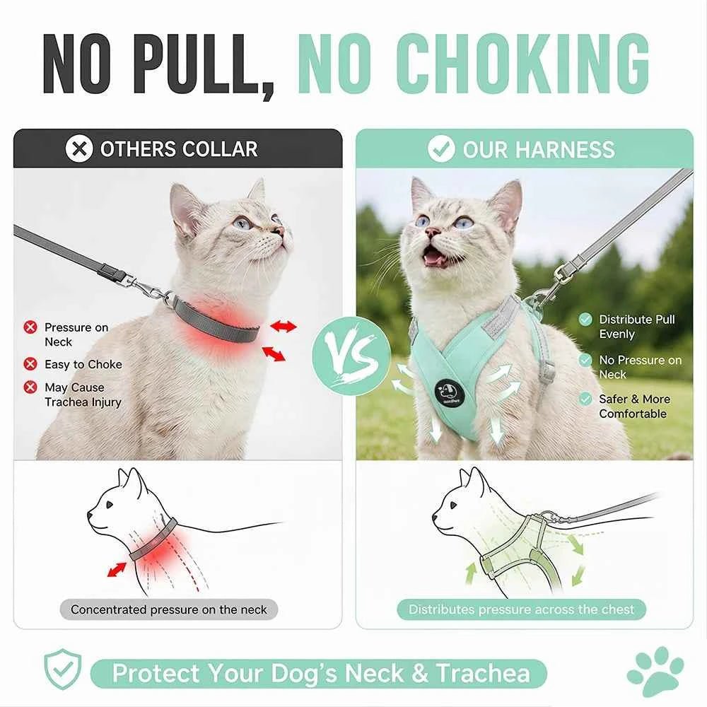 Escape Proof Cat Harness Vest with Leash Soft Padded Kitten Puppy Chest Strap for Indoor Outdoor Safety Reflective Pet Harness - Needora