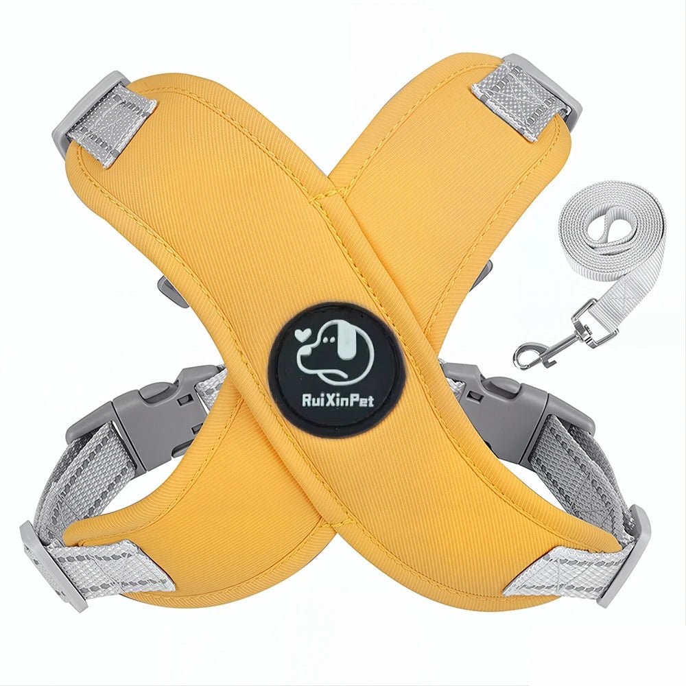 Escape Proof Cat Harness Vest with Leash Soft Padded Kitten Puppy Chest Strap for Indoor Outdoor Safety Reflective Pet Harness - Needora