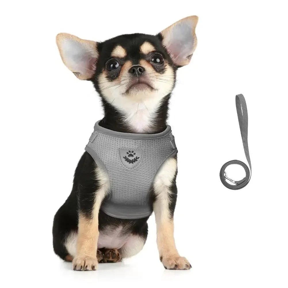 Escape Proof Reflective Cat Harness and Leash Set Adjustable Soft Mesh Pet Vest Harness for Puppy Kitten Outdoor Walking - Needora