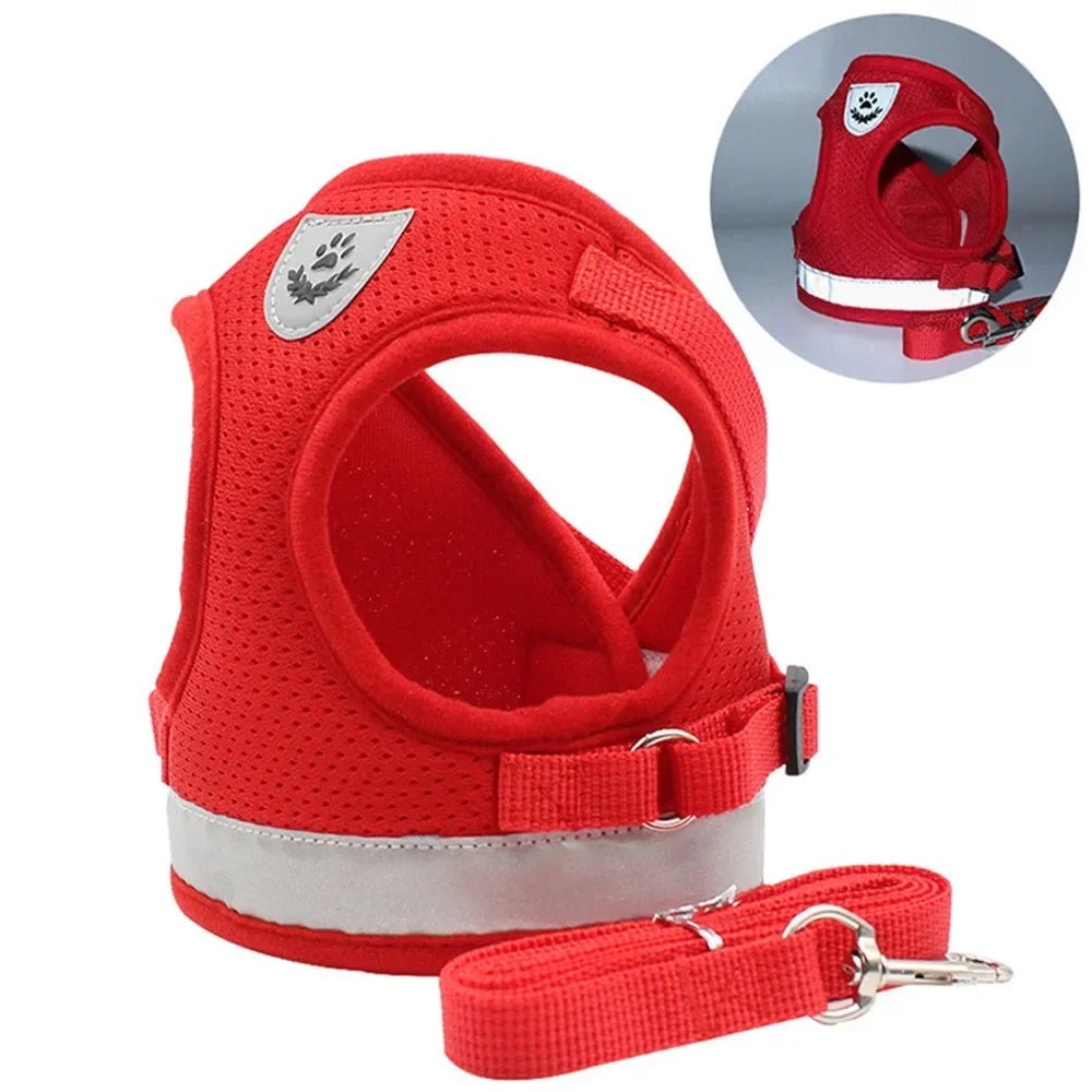 Escape Proof Reflective Cat Harness and Leash Set Adjustable Soft Mesh Pet Vest Harness for Puppy Kitten Outdoor Walking - Needora