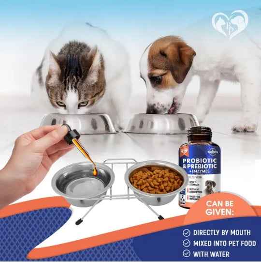 Holistic Probiotics Blend for Dogs & Cats – Enzymes + Prebiotics