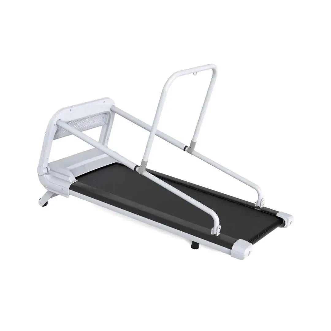 GP03 Foldable Electric Dog Treadmill – 2.5HP Motor with LED Display & Adjustable Speed - Needora
