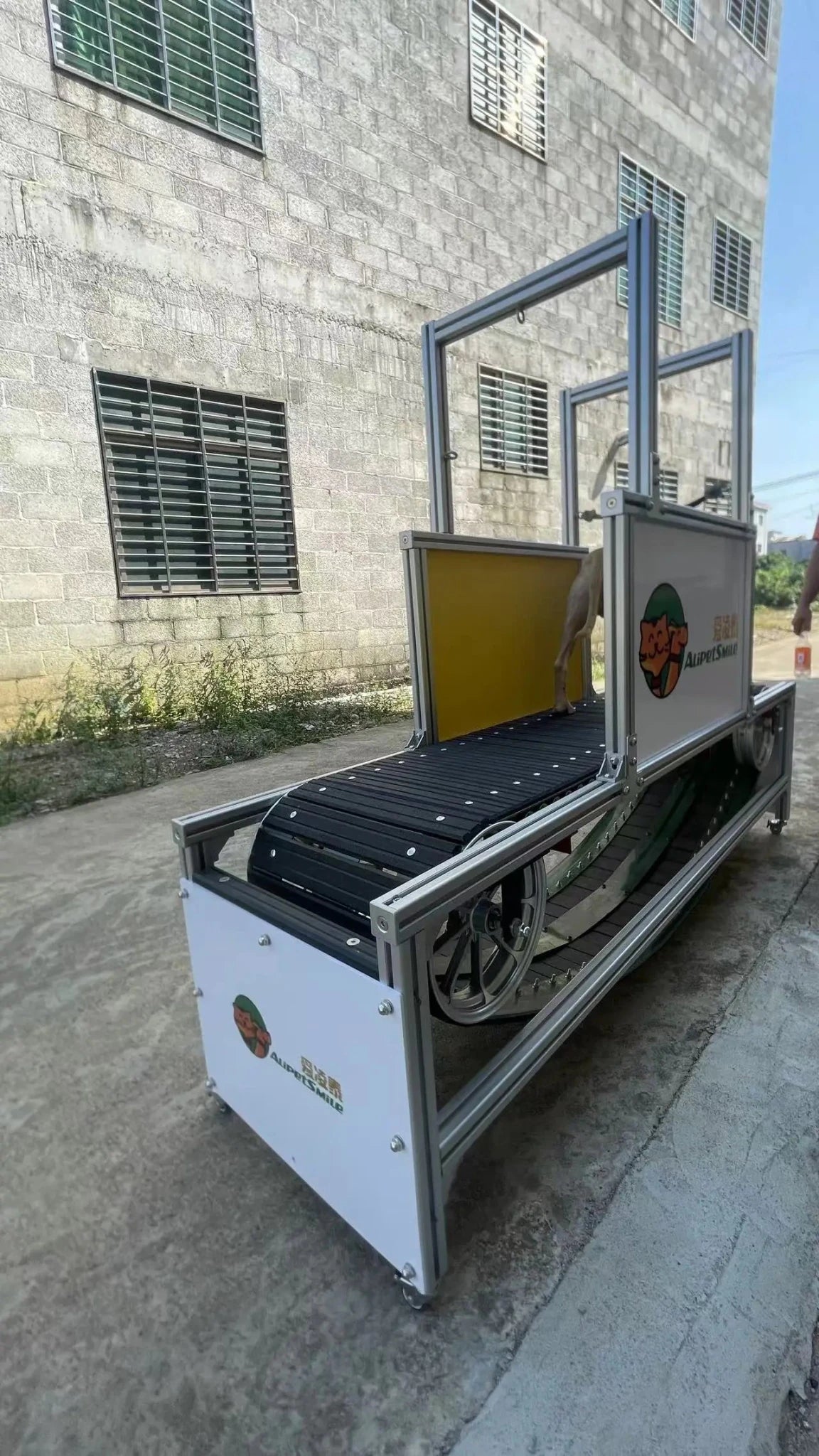 high quality aluminum Dog Walking Machine Pet Training treadmill aluminum dog Treadmill for large dogs - Needora