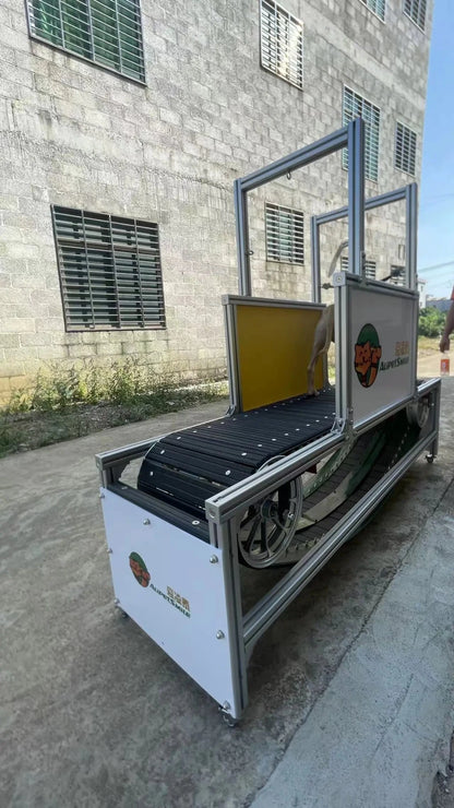 high quality aluminum Dog Walking Machine Pet Training treadmill aluminum dog Treadmill for large dogs - Needora