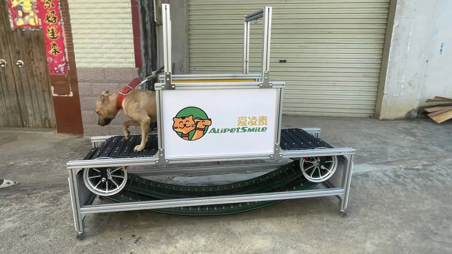 high quality aluminum Dog Walking Machine Pet Training treadmill aluminum dog Treadmill for large dogs - Needora