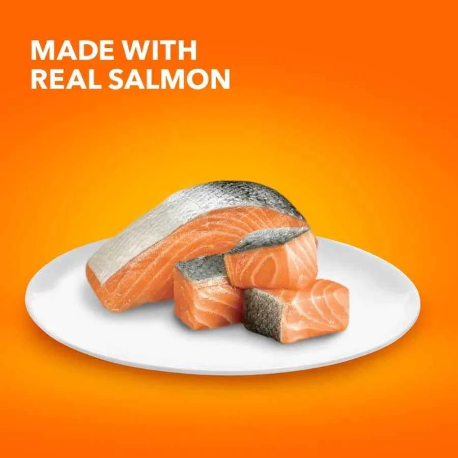 IAMS Proactive Health Adult Dry Cat Food with Salmon, Natural Ingredients & Omega-3, 7 lb Bag - Needora