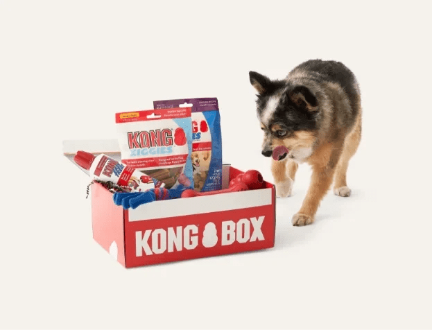 KONG BOX For Puppy -Fit (2-9kg) - Needora