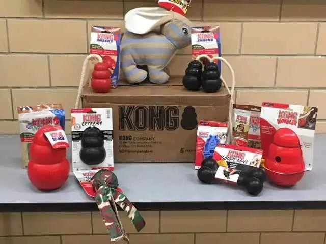 KONG BOX For Puppy -Fit (2-9kg) - Needora