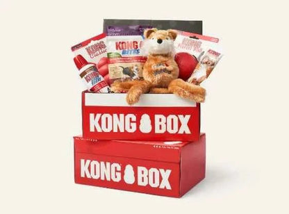 KONG BOX For Puppy -Fit (2-9kg) - Needora