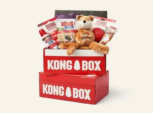 KONG BOX For Puppy -Fit (2-9kg) - Needora