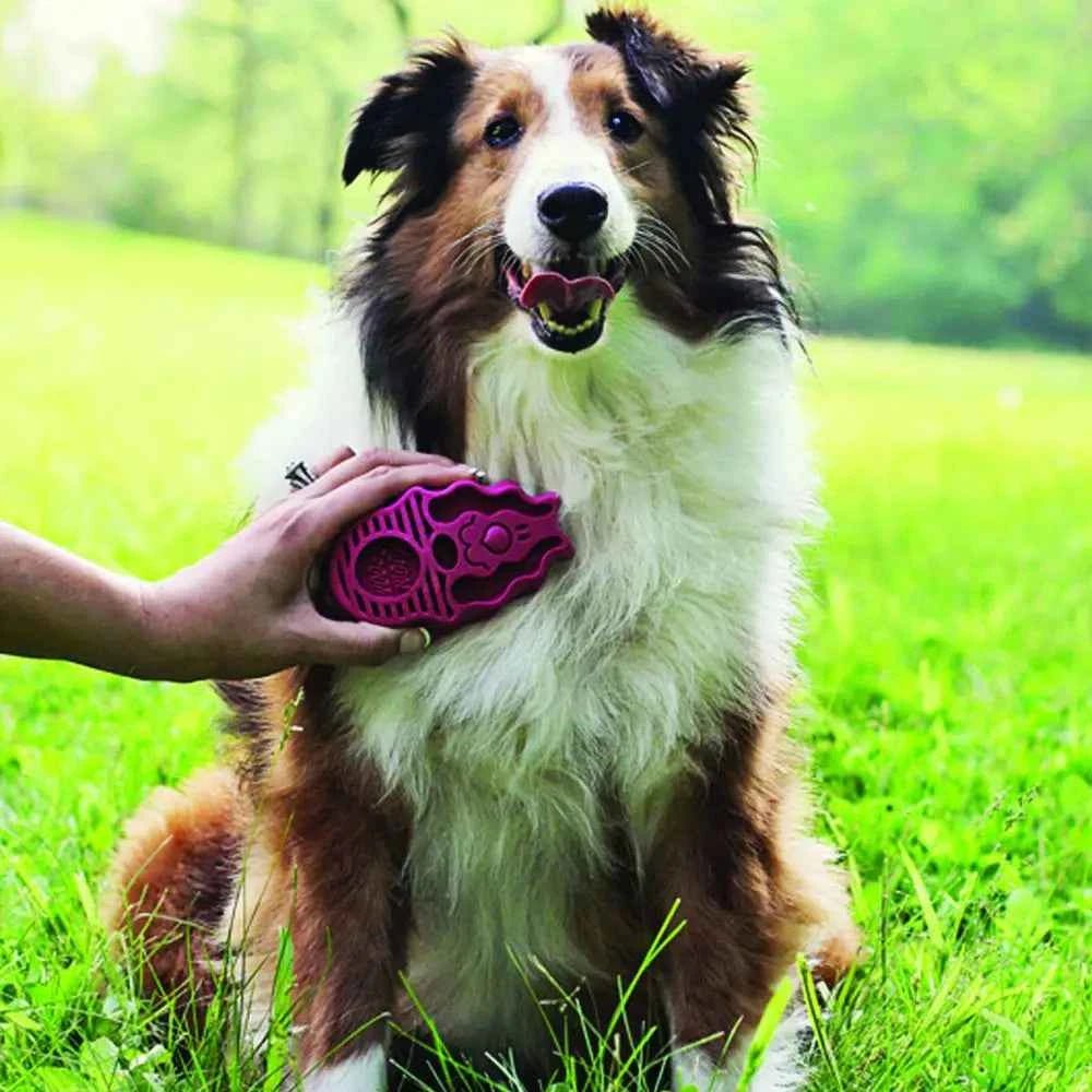 KONG Dog ZoomGroom Multi-Use Brush - Needora