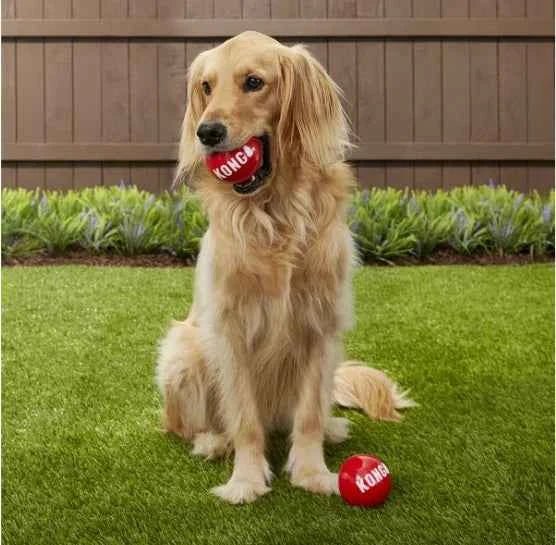KONG Signature Balls Dog Toy, 2-pack - Needora