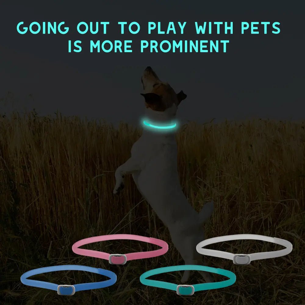 LED Luminous Pet Collar Insect Repellent – main product view