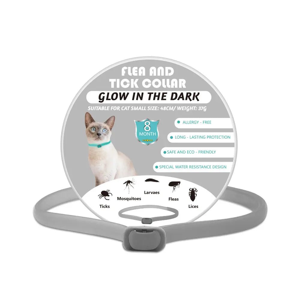 LED Luminous Pet Collar Insect Repellent – lifestyle scene view