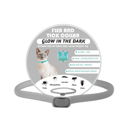 LED Luminous Pet Collar Insect Repellent – lifestyle scene view