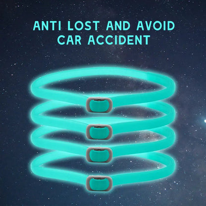 LED Luminous Pet Collar Insect Repellent – in-use lifestyle view