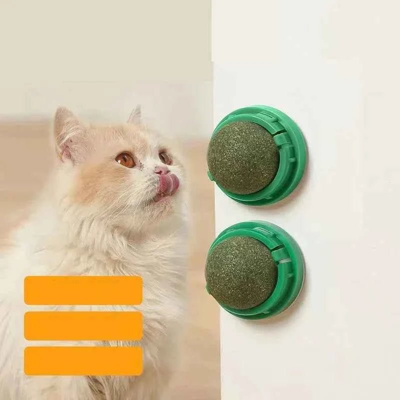 Natural Catnip Cat Wall Stick-on Ball Toy Scratchers Treats Healthy Natural Removes Balls to Promote Digestion Cat Grass Snack - Needora