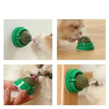 Natural Catnip Cat Wall Stick-on Ball Toy Scratchers Treats Healthy Natural Removes Balls to Promote Digestion Cat Grass Snack - Needora