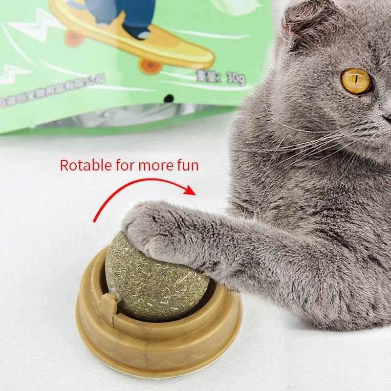 Natural Catnip Cat Wall Stick-on Ball Toy Scratchers Treats Healthy Natural Removes Balls to Promote Digestion Cat Grass Snack - Needora