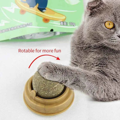 Natural Catnip Cat Wall Stick-on Ball Toy Scratchers Treats Healthy Natural Removes Balls to Promote Digestion Cat Grass Snack - Needora