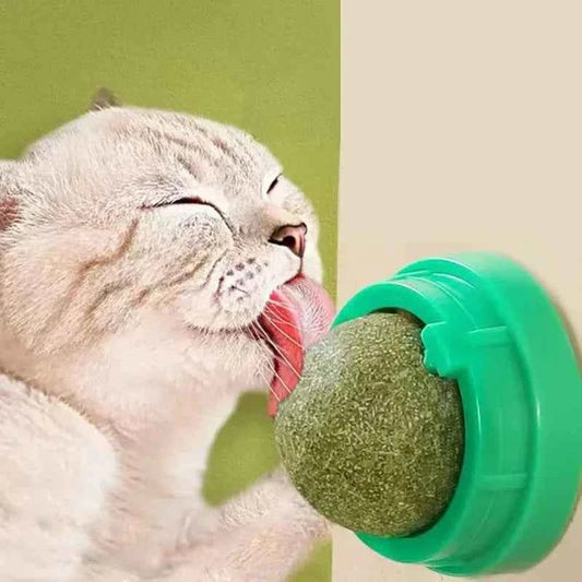Natural Catnip Cat Wall Stick-on Ball Toy Scratchers Treats Healthy Natural Removes Balls to Promote Digestion Cat Grass Snack - Needora