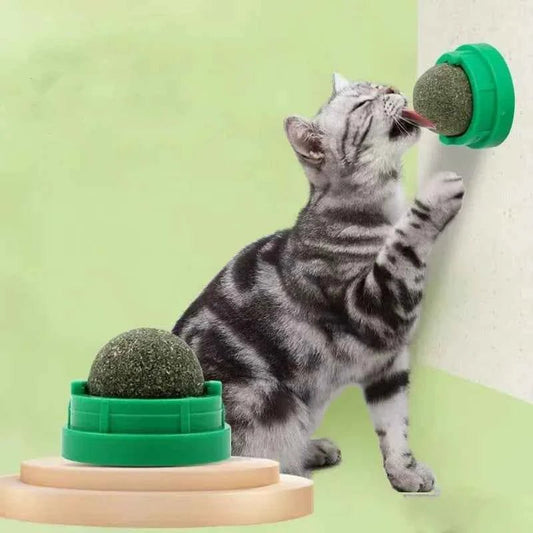 Natural Catnip Wall Stick Ball Toy Scratcher Treats Healthy Promotes Digestion Cat Grass Snack for Feline - Needora