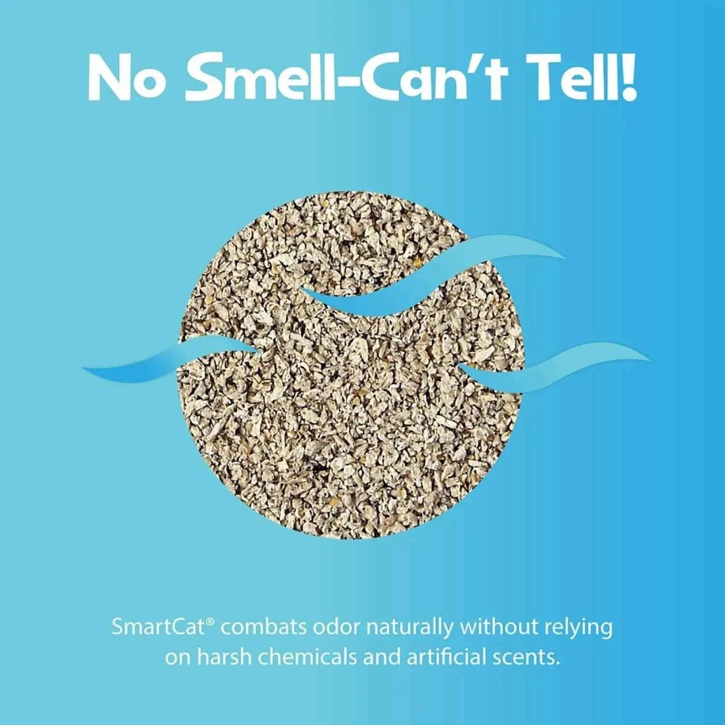 Natural Clumping Cat Litter, 10 lb - Grass Seed, Unscented, Lightweight Alternative to Clay and Pellet - Needora