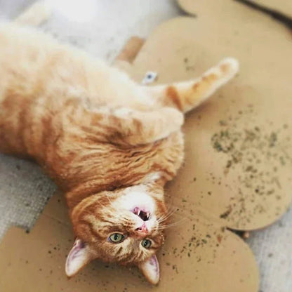 Organic 100% Natural High Quality Catnip Cattle Grass Mint Taste Funny Cat Toy New Cat Toy Interactive Cat Toys Pet Supplies - Needora
