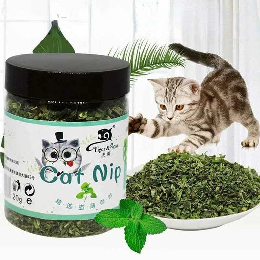 Organic 100% Natural High Quality Catnip Cattle Grass Mint Taste Funny Cat Toy New Cat Toy Interactive Cat Toys Pet Supplies - Needora