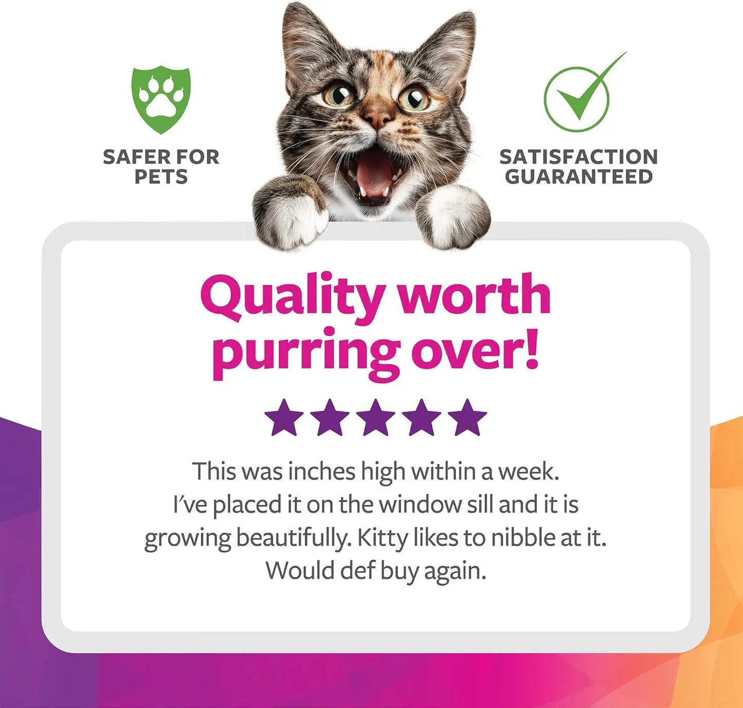 Organic Oat Grass Cat Grow Kit, Easy-to-Grow for Digestion & Hairball Support, All-in-One Solution - Needora