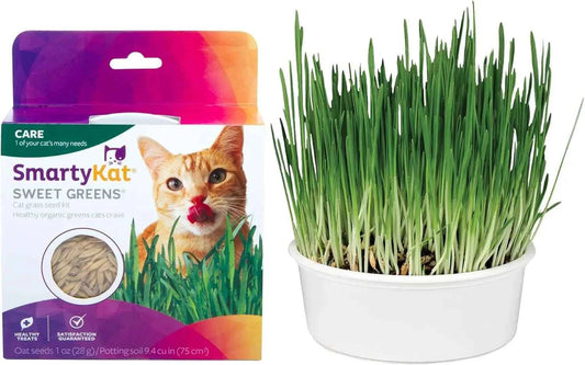 Organic Oat Grass Cat Grow Kit, Easy-to-Grow for Digestion & Hairball Support, All-in-One Solution - Needora