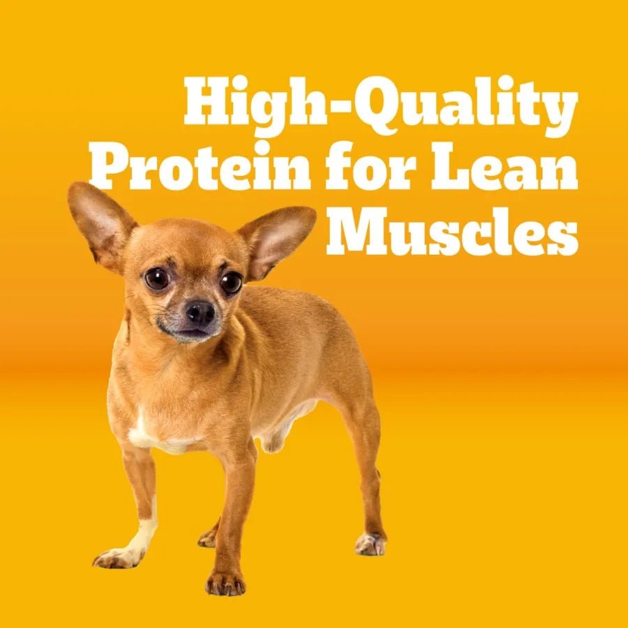 Pedigree Adult Small Dog Dry Food – Roasted Chicken & Vegetable Flavor, 14 lb Bag - Needora