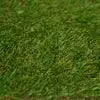 Pee Pad Pet Training Urine Diaper Pads Reusable Dog Pee Mat Washable Dog Grass with Washable Pee Pads - Needora