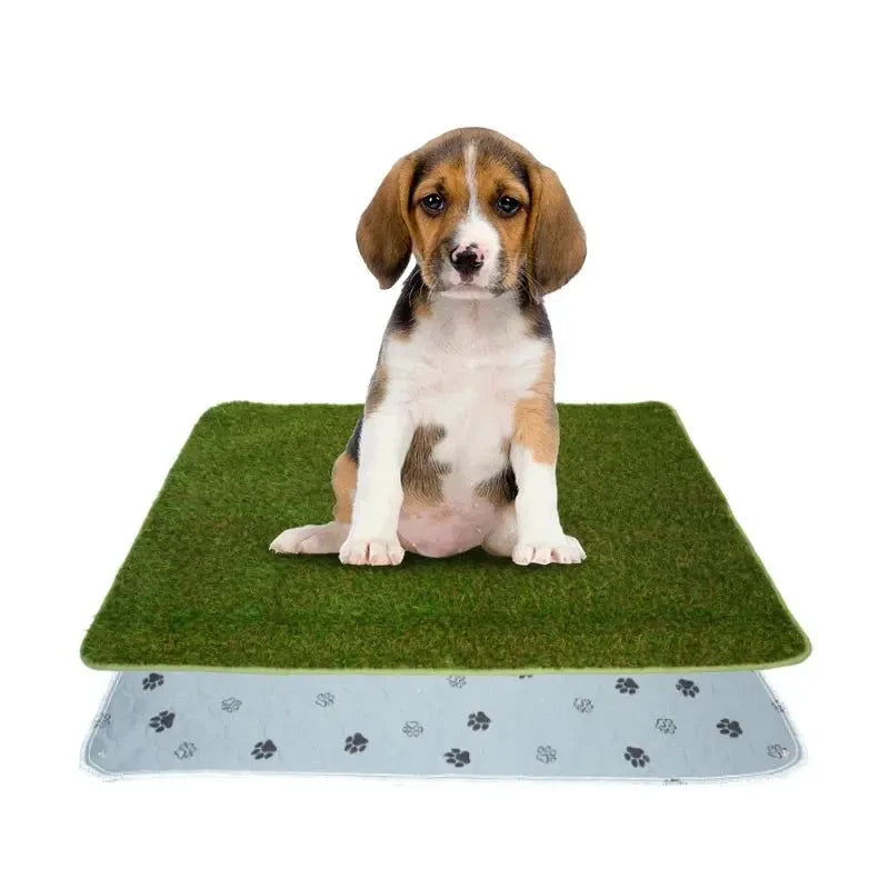 Pee Pad Pet Training Urine Diaper Pads Reusable Dog Pee Mat Washable Dog Grass with Washable Pee Pads - Needora