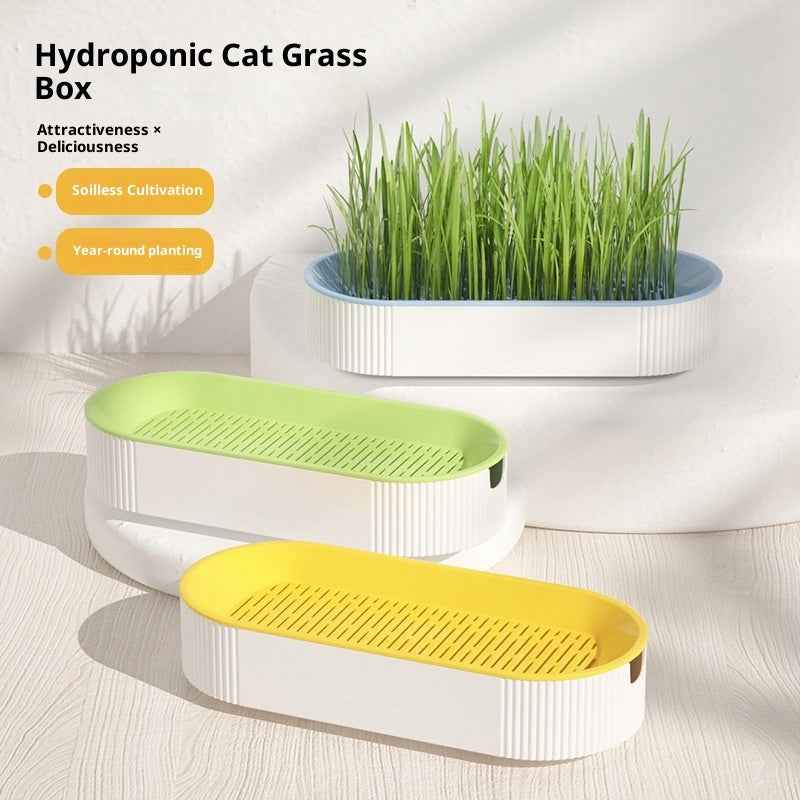 Pet Supplies Cat Snacks Catnip Planting Hydroponic Box - Needora