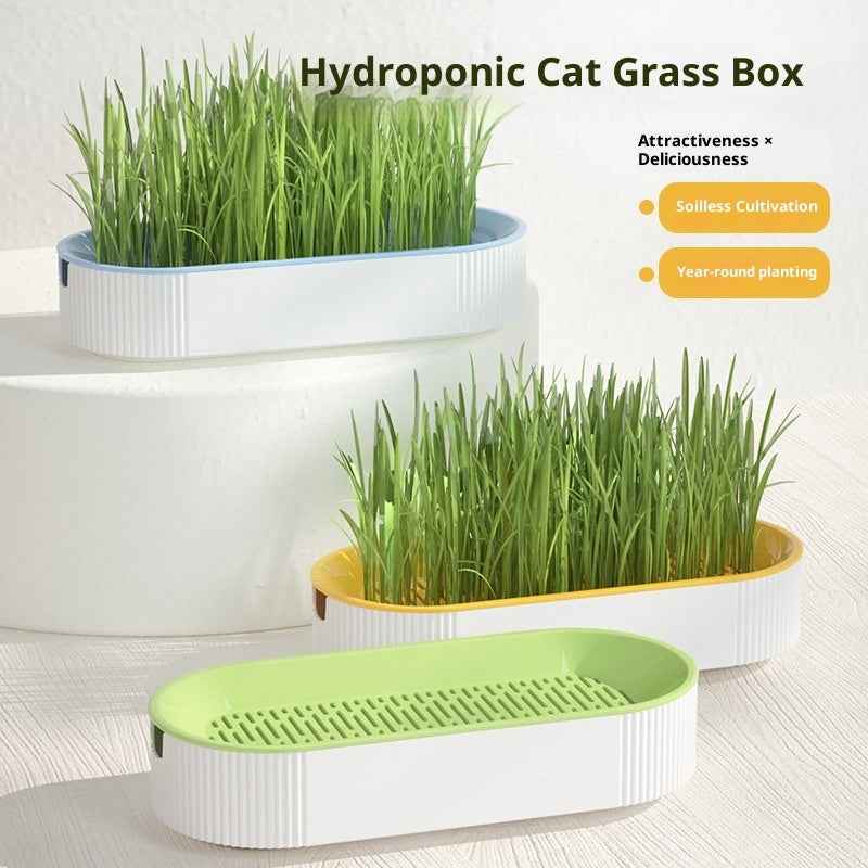 Pet Supplies Cat Snacks Catnip Planting Hydroponic Box - Needora